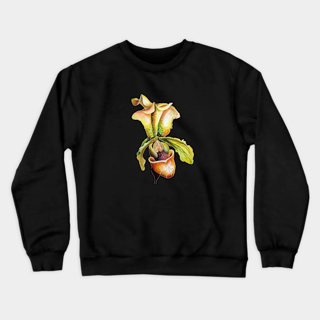 Lady Slipper Orchid Watercolor Paphiopedilum Crewneck Sweatshirt by Nisuris Art